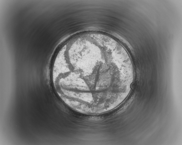 X0000100931029200807221132