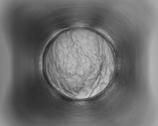 X0000100931031200807221133