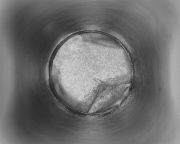 X0000100931032200807221133