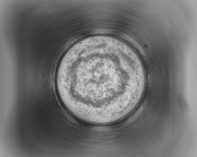 X0000100931033200807221133