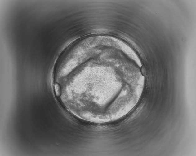 X0000100931034200807221133