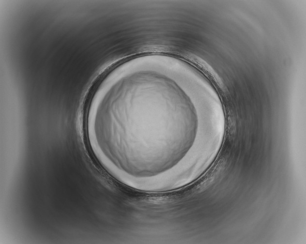 X0000100931035200807221133