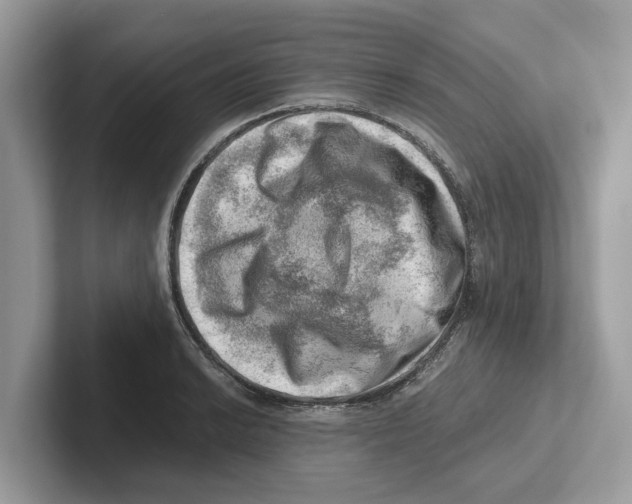 X0000100931038200807221133