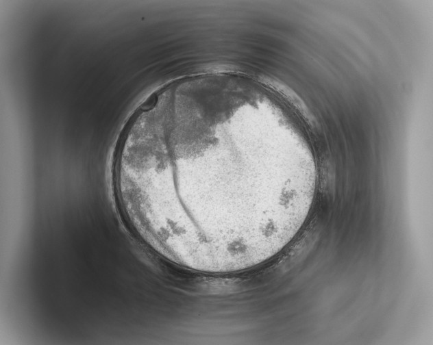 X0000100931039200807221133