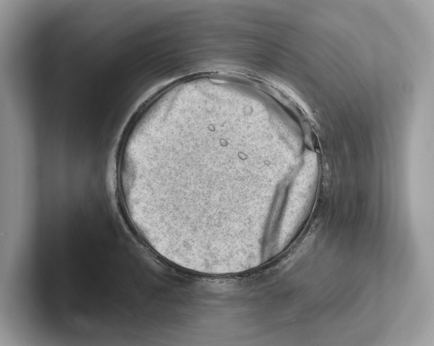 X0000100931040200807221133