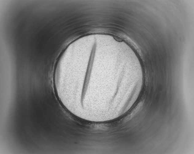 X0000100931041200807221133