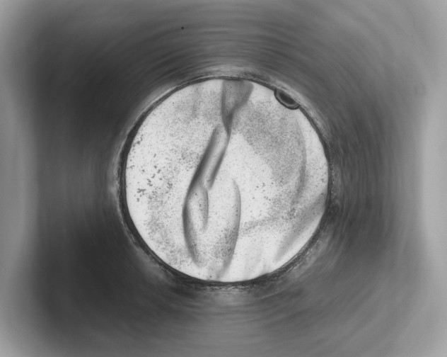 X0000100931042200807221133