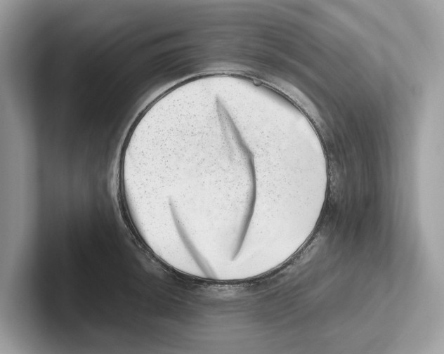 X0000100931044200807221133