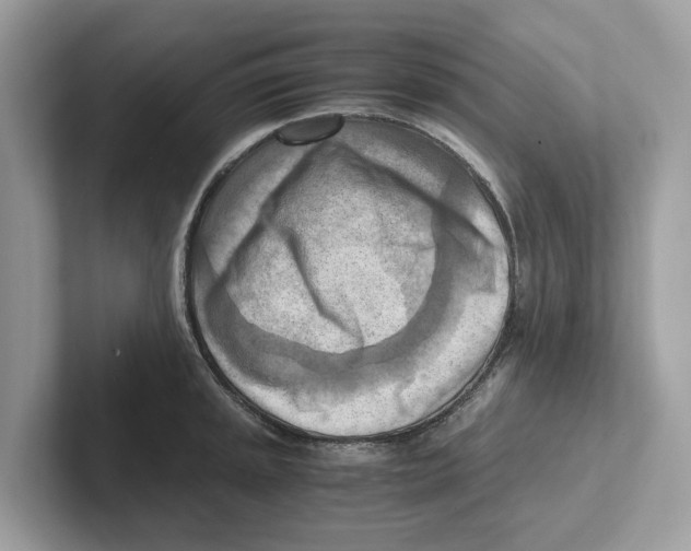 X0000100931045200807221133