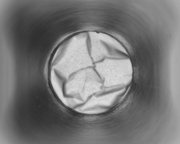 X0000100931046200807221133