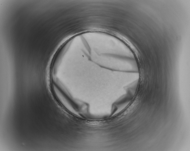 X0000100931048200807221133