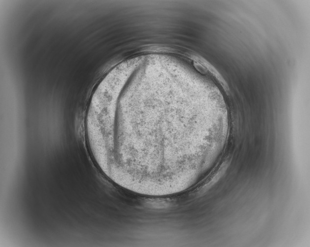 X0000100931049200807221133