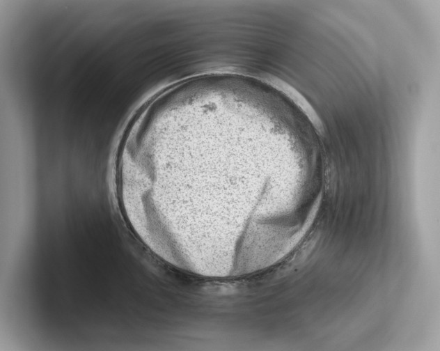 X0000100931051200807221133