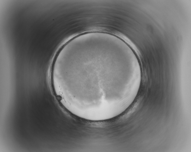 X0000100931053200807221133