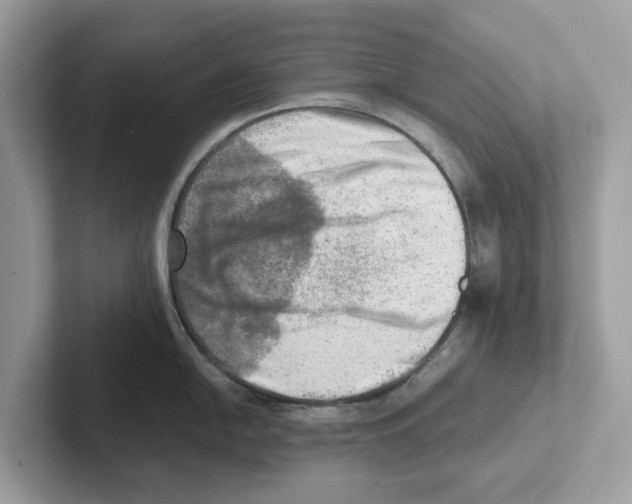 X0000100931054200807221133