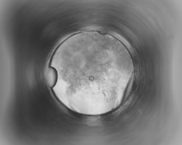 X0000100931055200807221133