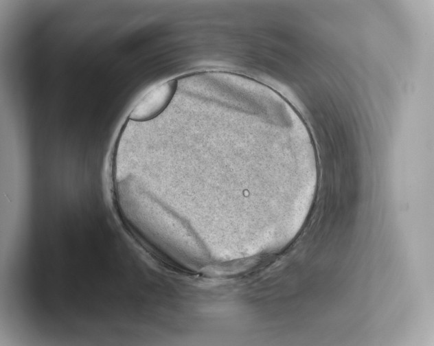 X0000100931056200807221133