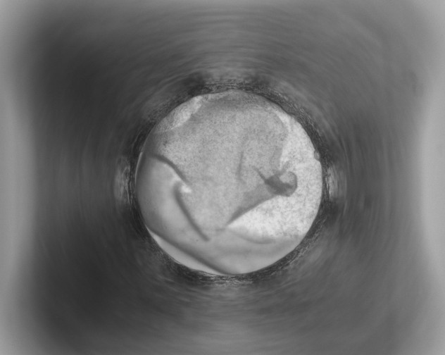 X0000100931059200807221132