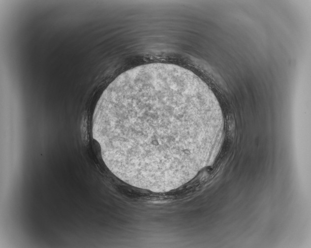 X0000100931060200807221132