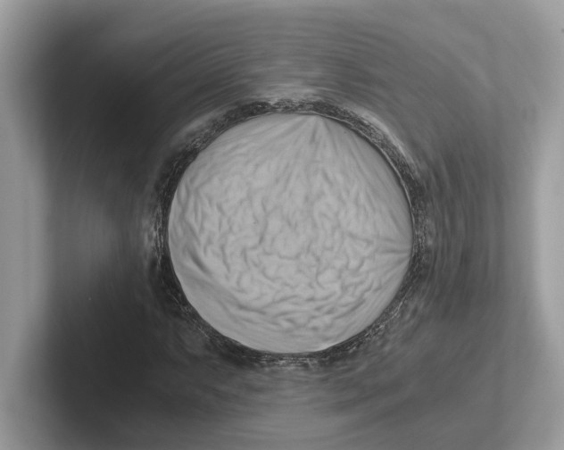 X0000100931063200807221132