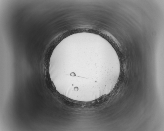 X0000100931064200807221132