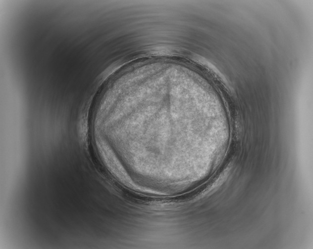 X0000100931065200807221132