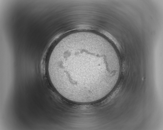 X0000100931067200807221132