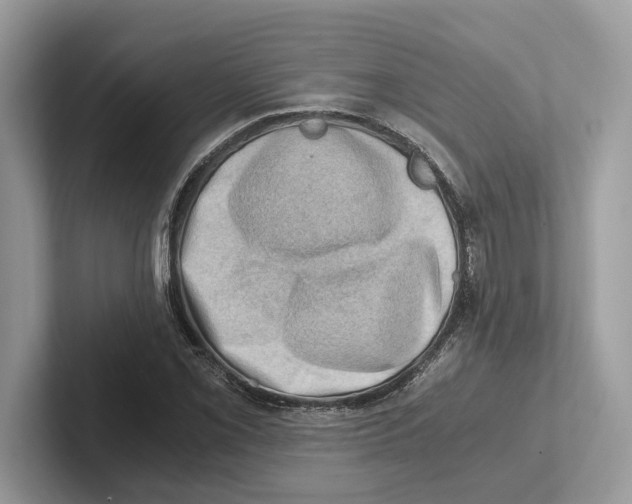 X0000100931069200807221132