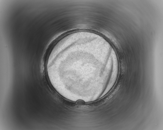 X0000100931070200807221132