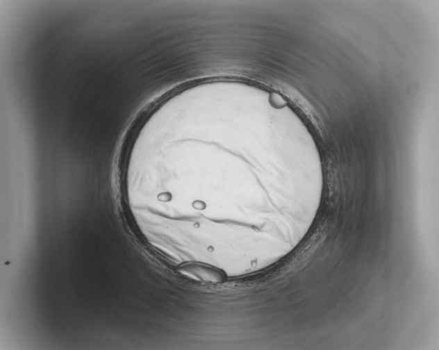 X0000100931072200807221132