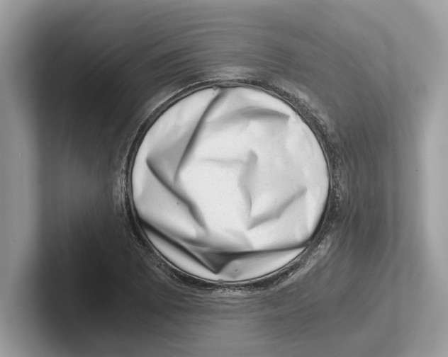 X0000100931073200807221132