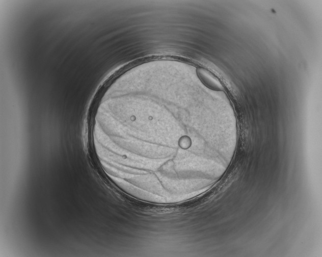 X0000100931076200807221132