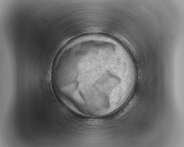 X0000100931081200807221132