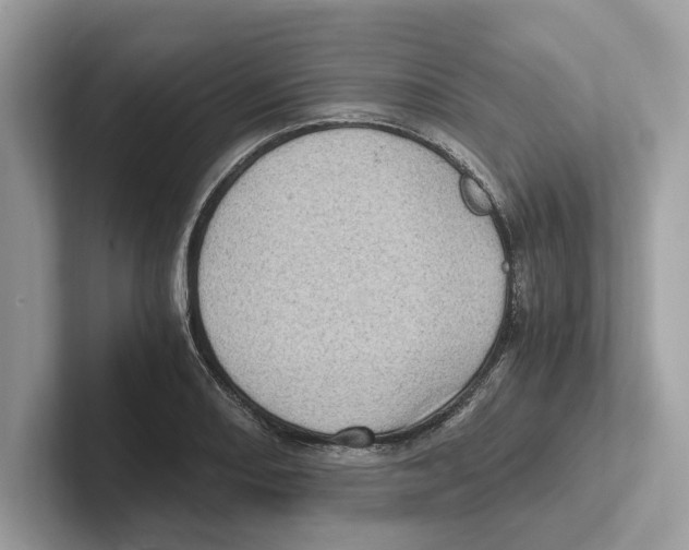 X0000100931082200807221132