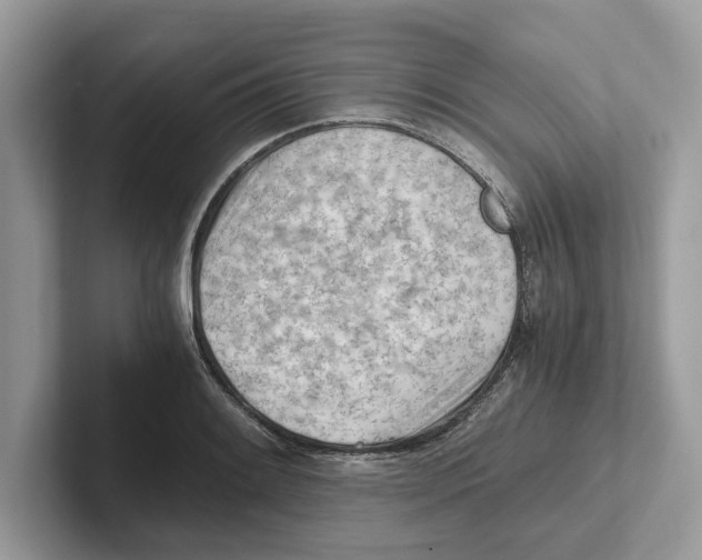 X0000100931084200807221132