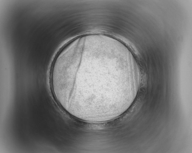 X0000100931086200807221132