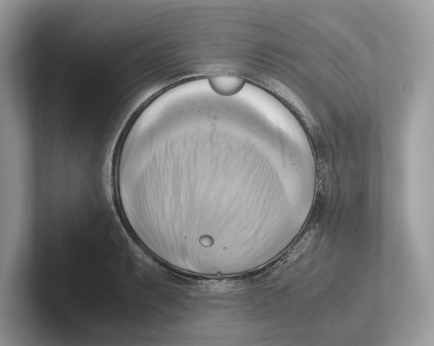 X0000100931087200807221132