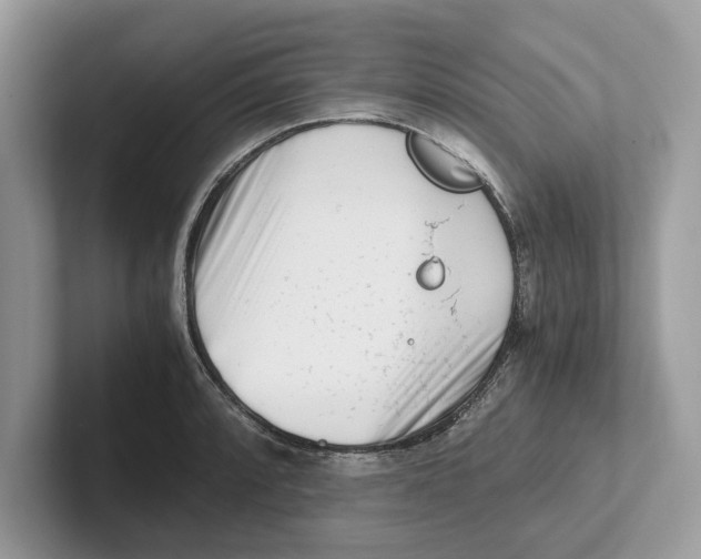 X0000100931088200807221132