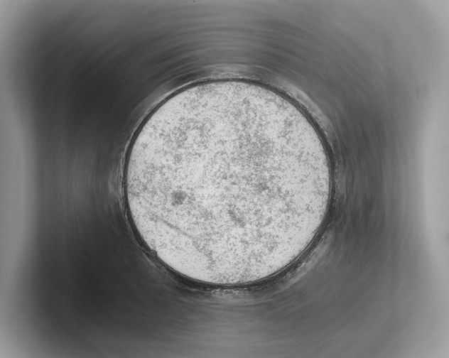 X0000100931089200807221132