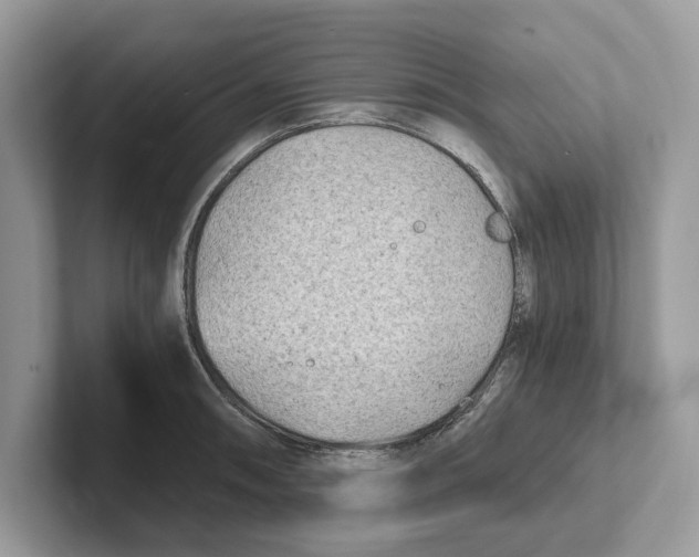 X0000100931090200807221132