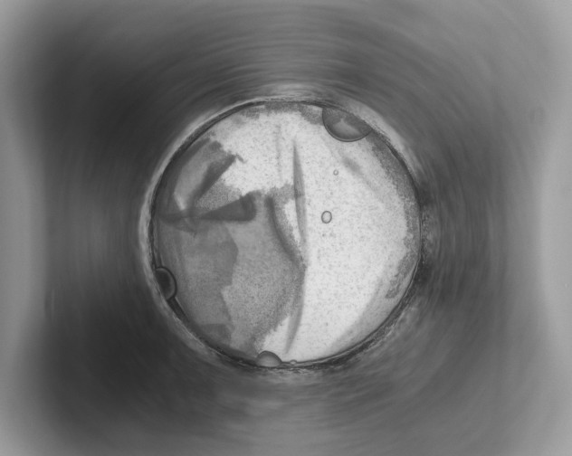 X0000100931091200807221132