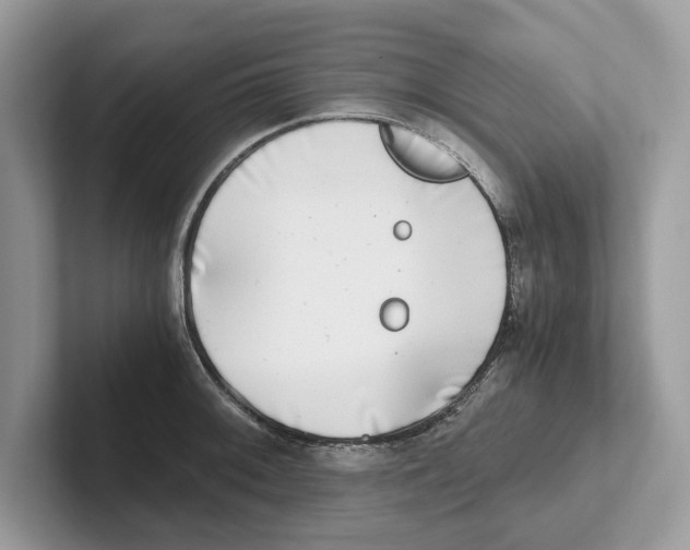 X0000100931092200807221132