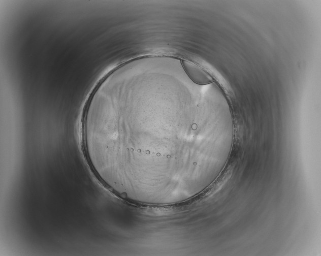 X0000100931095200807221132