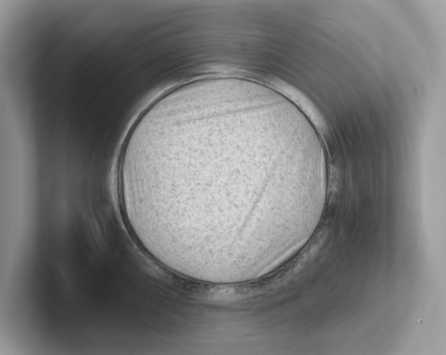 X0000100931098200807221132