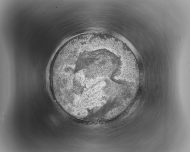 X0000100931099200807221132