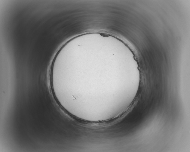 X0000100931102200807221132