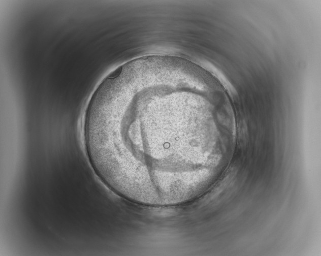 X0000100931103200807221132