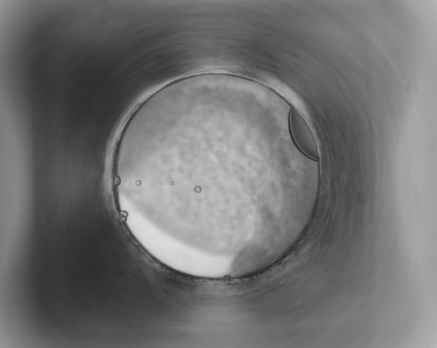 X0000100931104200807221132