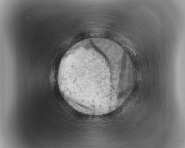 X0000100931106200807221131