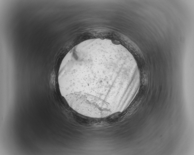 X0000100931108200807221131